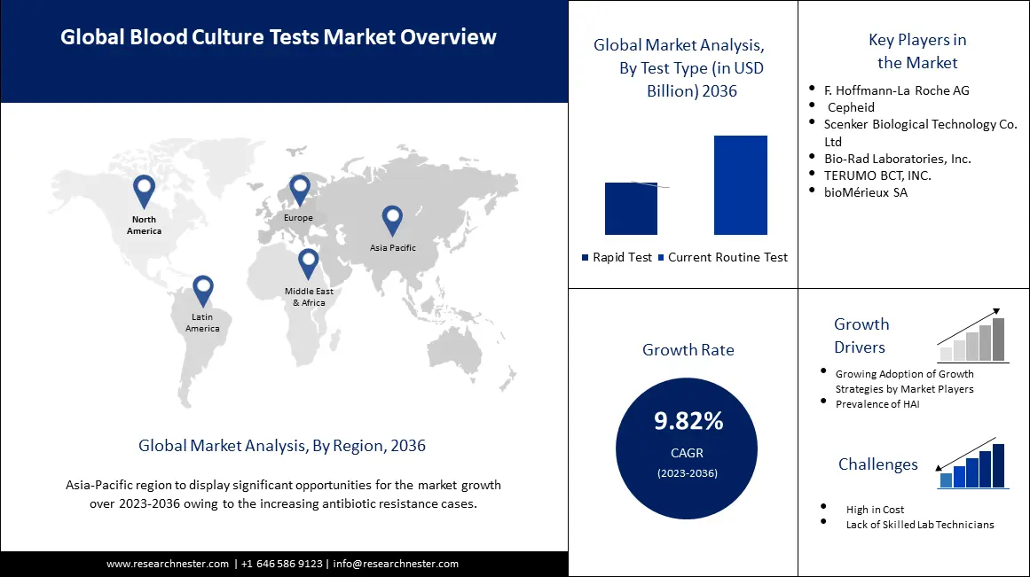 Blood Culture Test Market overview